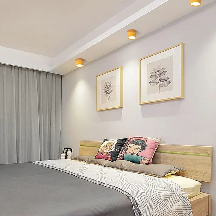 Nordic Cylindrical LED Ceiling Light – Modern & Energy-Efficient Hallway Illumination