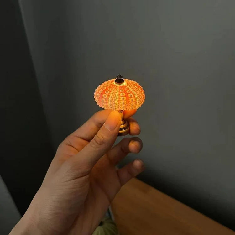 DIY Urchin Night Light – Vintage-Inspired Creative Lighting Kit
