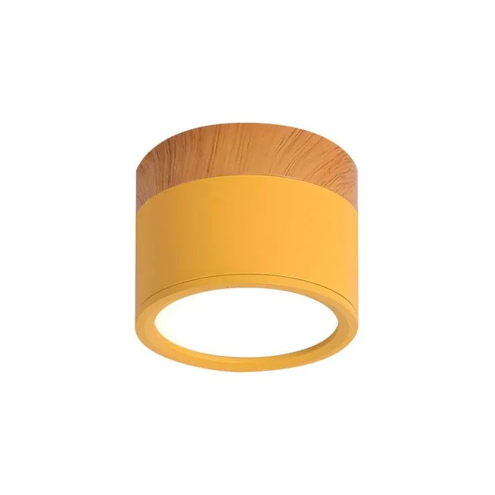 Nordic Cylindrical LED Ceiling Light – Modern & Energy-Efficient Hallway Illumination