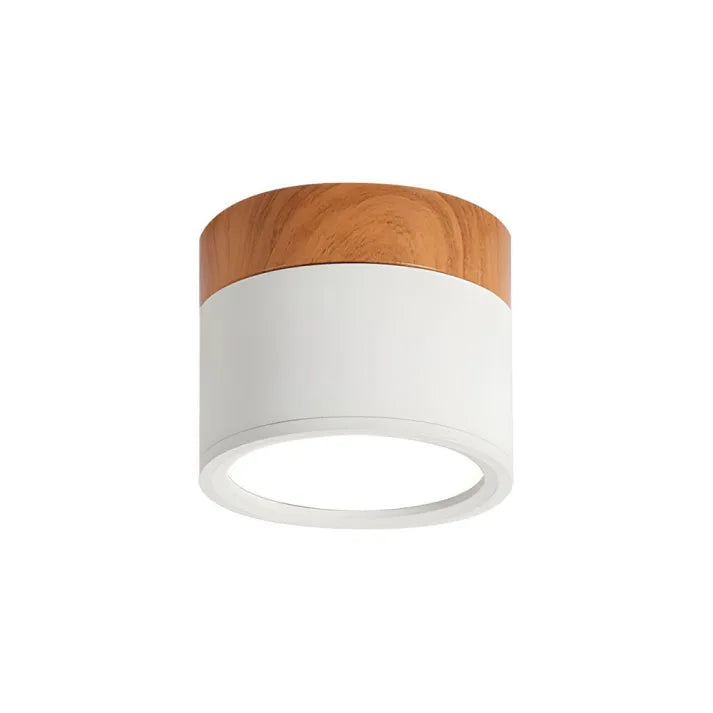 Nordic Cylindrical LED Ceiling Light – Modern & Energy-Efficient Hallway Illumination