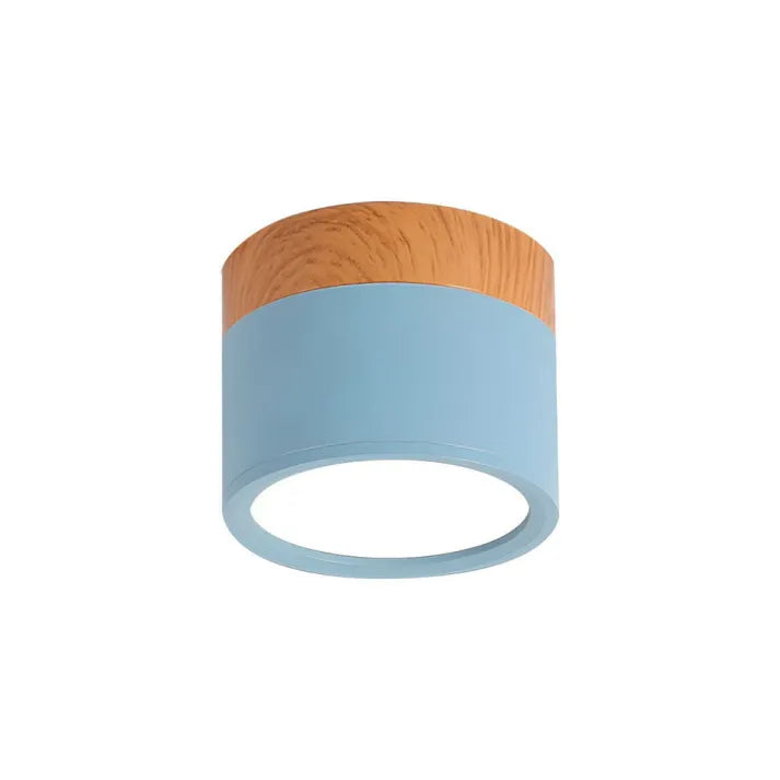 Nordic Cylindrical LED Ceiling Light – Modern & Energy-Efficient Hallway Illumination