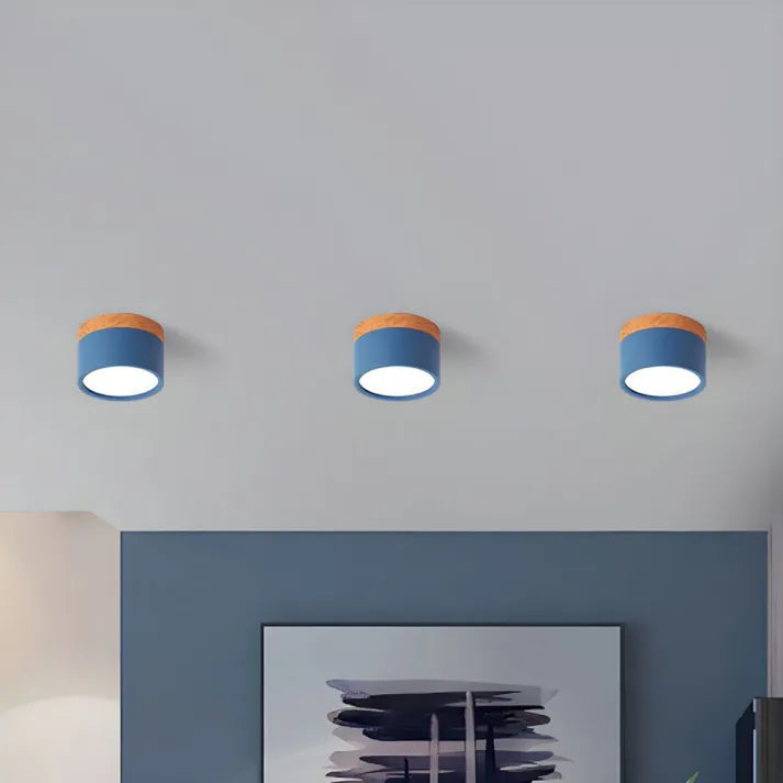 Nordic Cylindrical LED Ceiling Light – Modern & Energy-Efficient Hallway Illumination