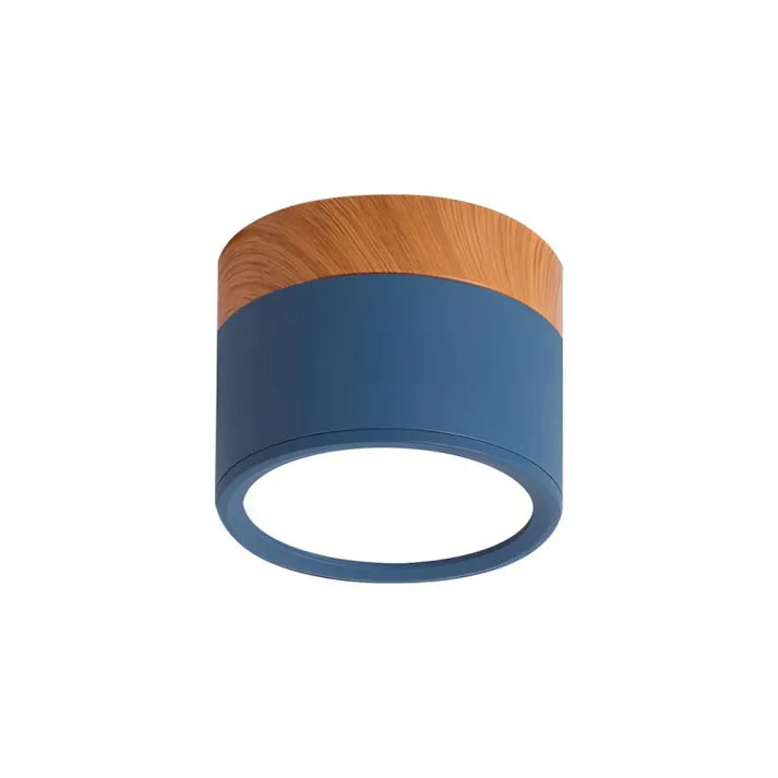Nordic Cylindrical LED Ceiling Light – Modern & Energy-Efficient Hallway Illumination