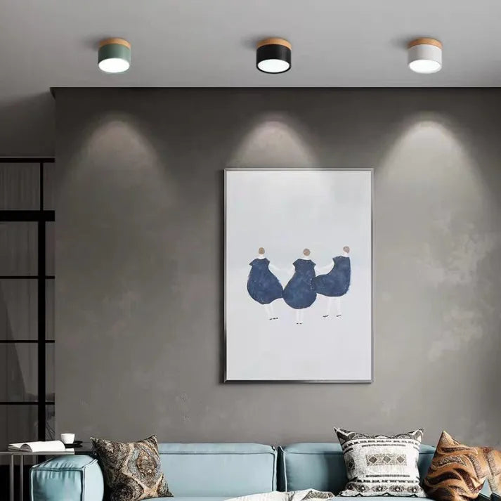 Nordic Cylindrical LED Ceiling Light – Modern & Energy-Efficient Hallway Illumination