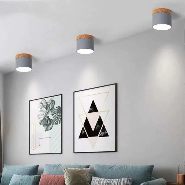 Nordic Cylindrical LED Ceiling Light – Modern & Energy-Efficient Hallway Illumination