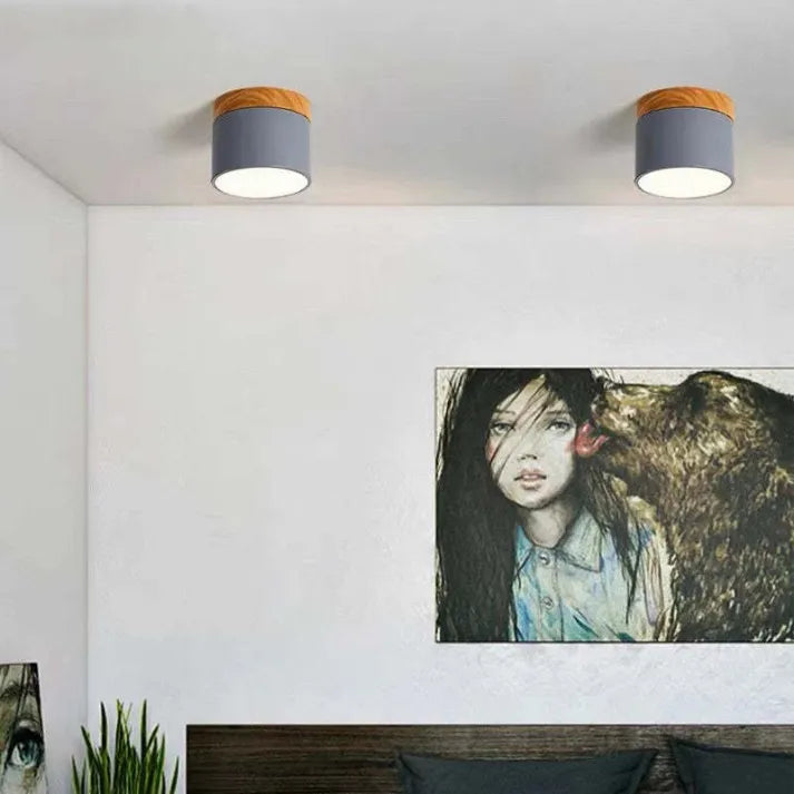 Nordic Cylindrical LED Ceiling Light – Modern & Energy-Efficient Hallway Illumination