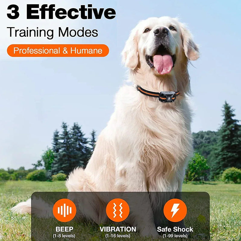 Premium 1000m Waterproof & Rechargeable Dog Training Collar