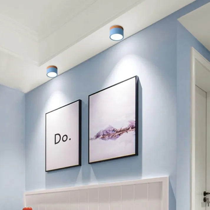 Nordic Cylindrical LED Ceiling Light – Modern & Energy-Efficient Hallway Illumination